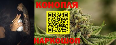 сатива Ярославль