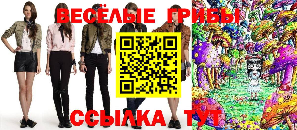 Дивногорск  Псилоцибиновые грибы прущие грибы  Вход с VPN  как найти закладки  Галлюциногенные грибы GOLDEN TEACHER 